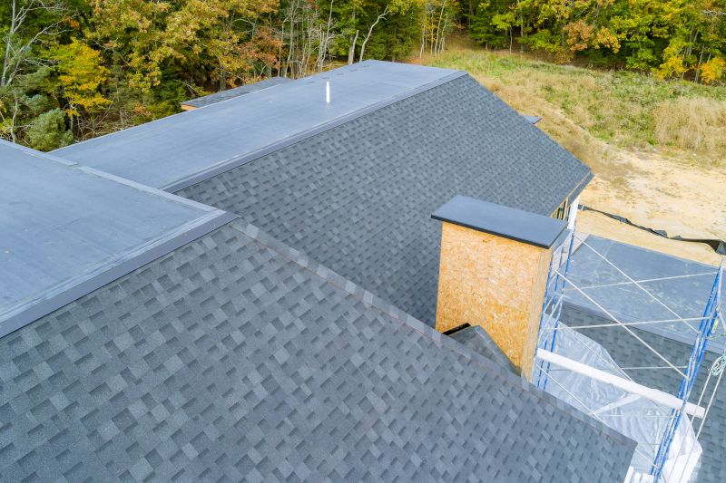 Asphalt Roof Care Tips
